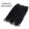 FBLhair Curly Wet And Wavy Weave Bundle Hair 