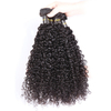 Curly Monglian Virgin Hair Cheap Bundles with Closure